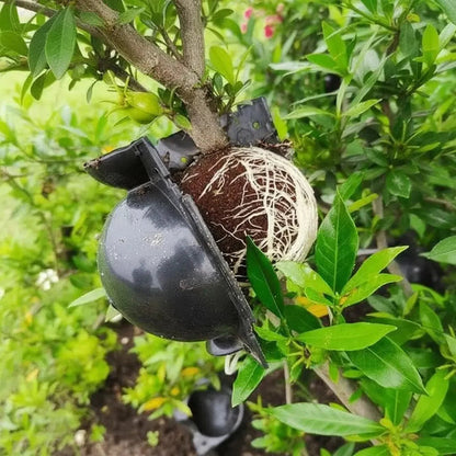 Bola de Enraizamento de Plantio Rooter